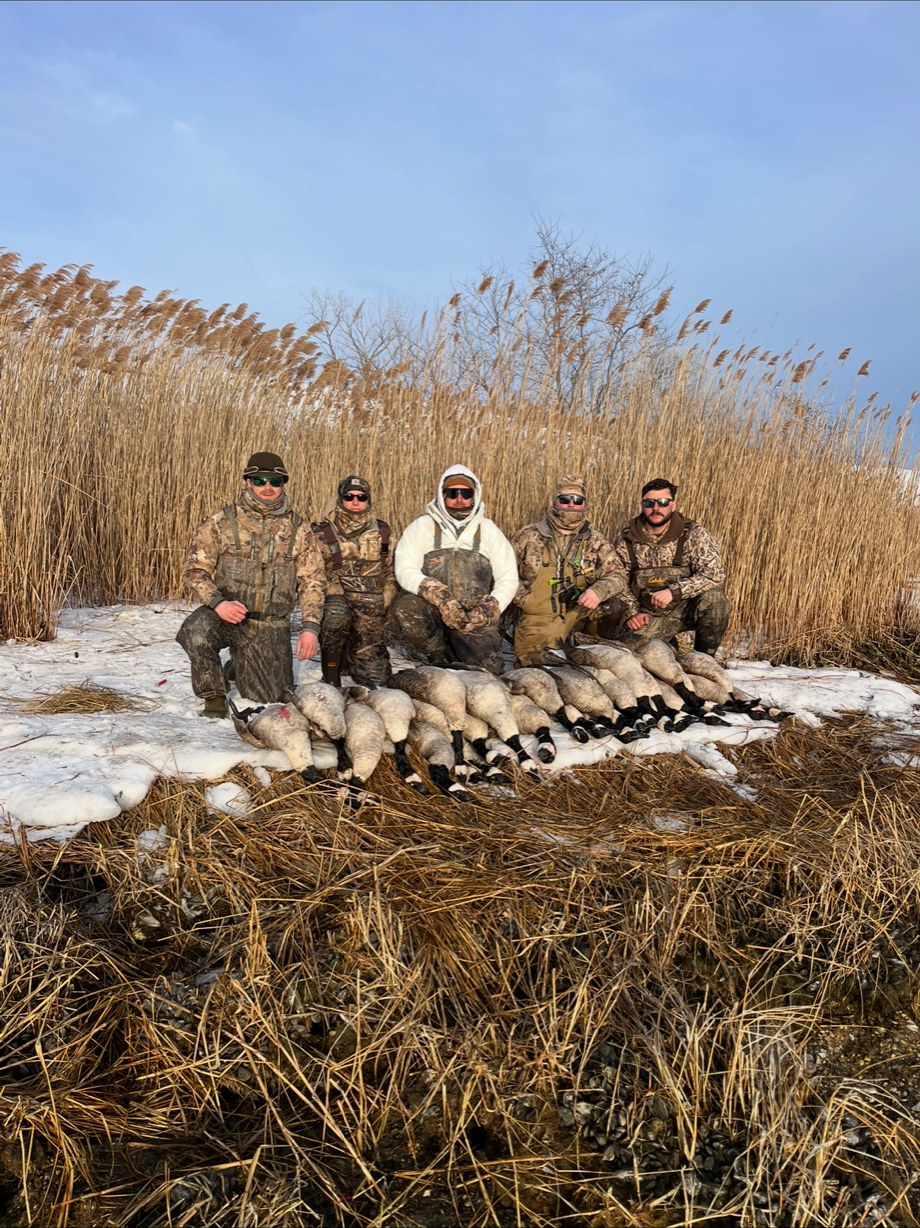 Group of hunters with goose limit in Long Island marsh reeds