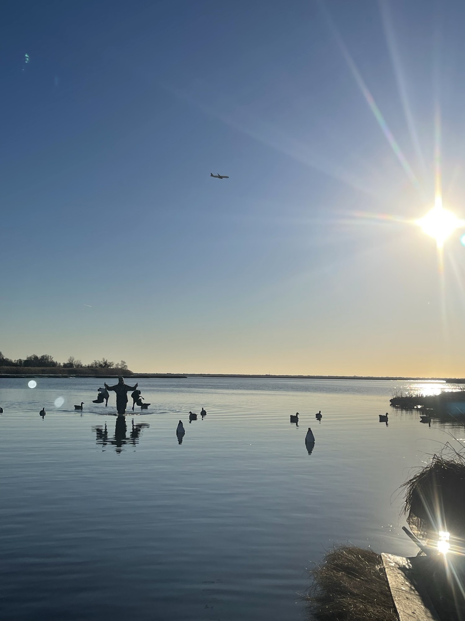 Hunter wading in Long Island bay at golden hour with decoys — Black Bank Outfitters waterfowl guide service