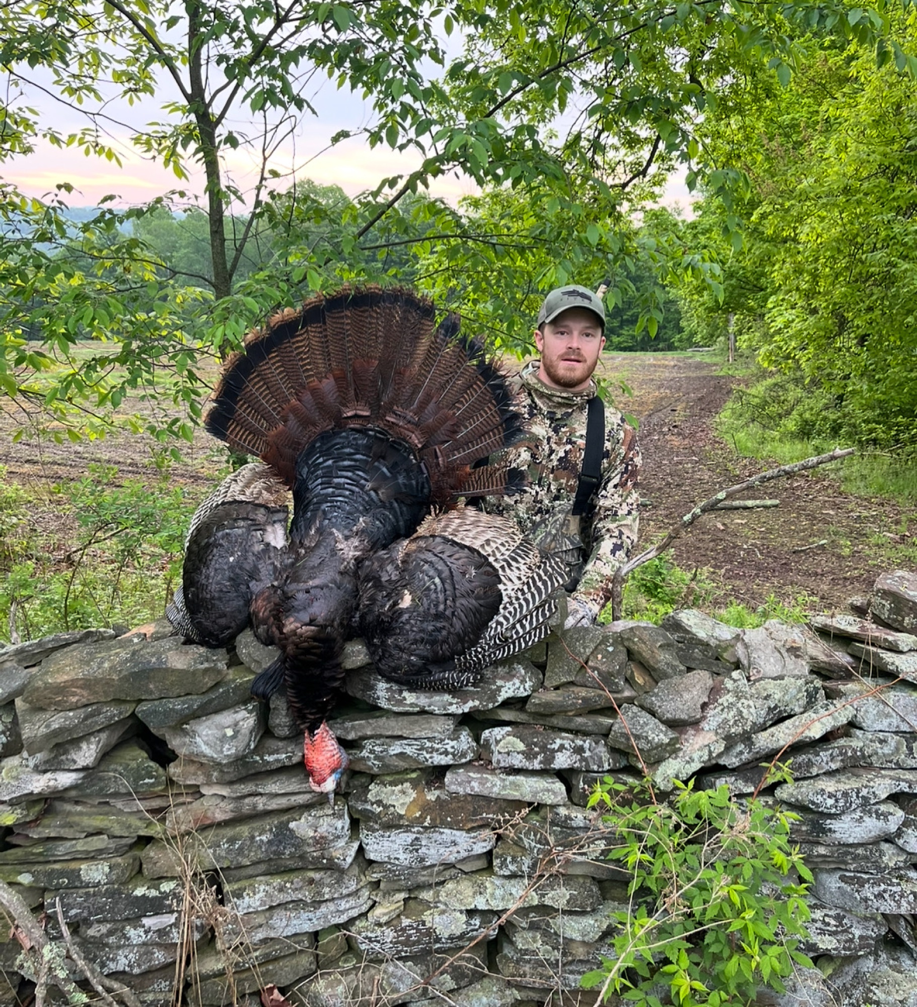 Spring turkey hunter with trophy tom on Pennsylvania stone wall