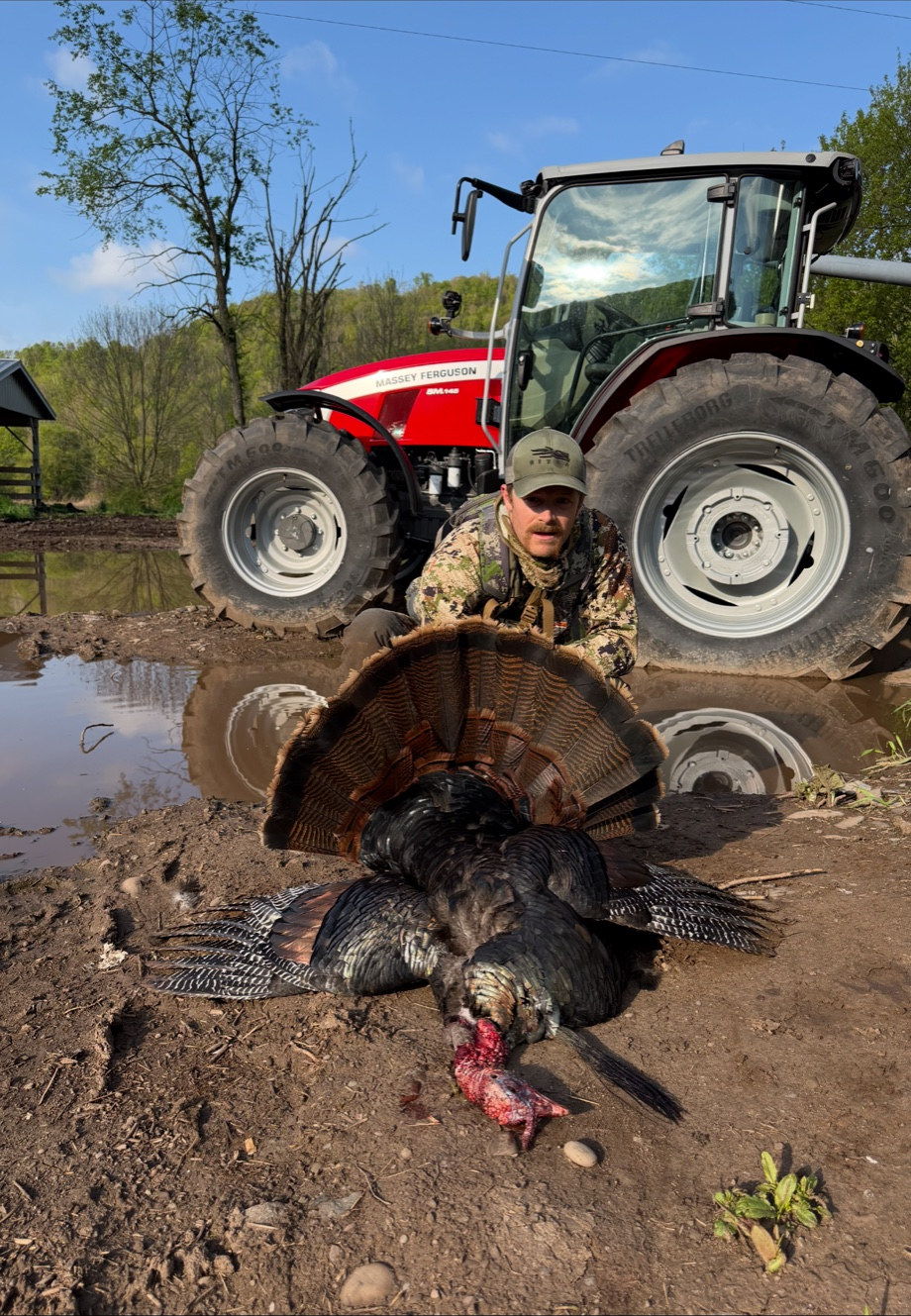 Turkey hunter with tom in Pennsylvania farm field — Black Bank Outfitters
